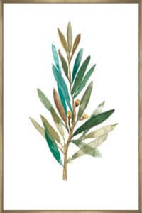 Olive III - Canvas Gallery Champagne