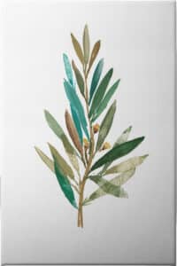 Olive III - Unframed Canvas Unframed Canvas