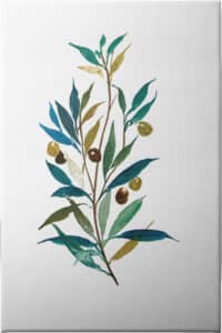 Olive II - Unframed Canvas Unframed Canvas