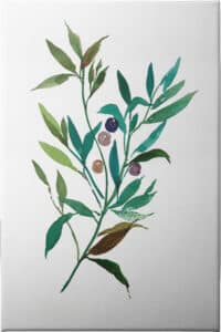 Olive I - Unframed Canvas Unframed Canvas
