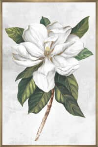 Pearly Beauty I - Canvas Gallery Champagne