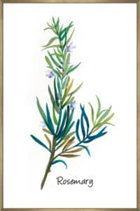 Rosemary I - Canvas Gallery Champagne
