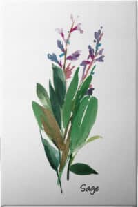 Sage I - Unframed Canvas Unframed Canvas