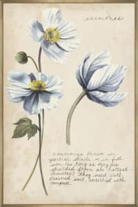 Garden Studies III - Canvas Gallery Champagne