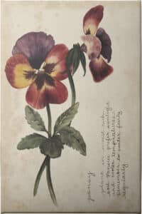 Garden Studies II - Unframed Canvas Unframed Canvas