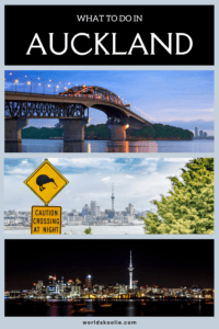 Auckland day trip itinerary Pinterest pin