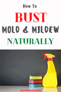 Non-toxic ways to remove mold and mildew Pinterest pin