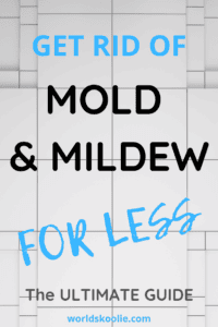 How to get rid of mold and mildew Pinterest pin
