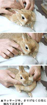 まずはイメージトレーニング