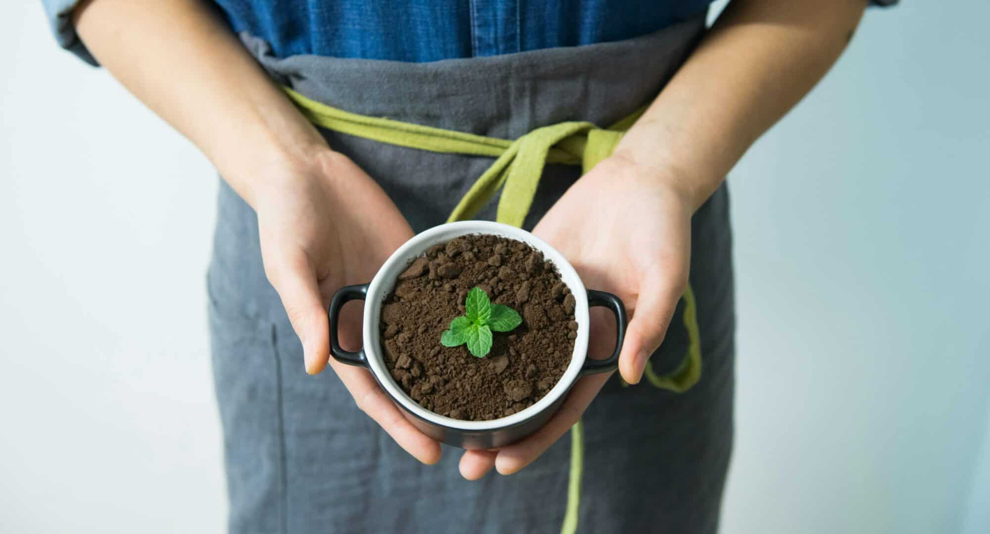 Nurturing professional development in therapists and managers in non-profit agencies and community-based settings