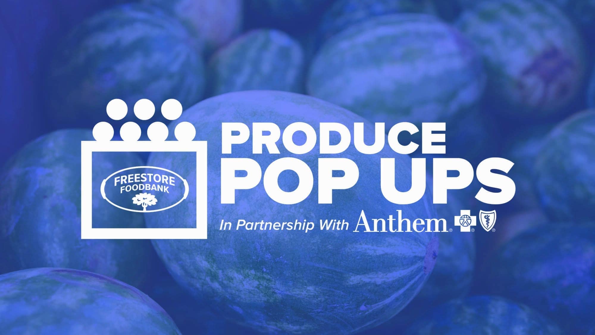 Produce Pop Ups Image website 01 scaled