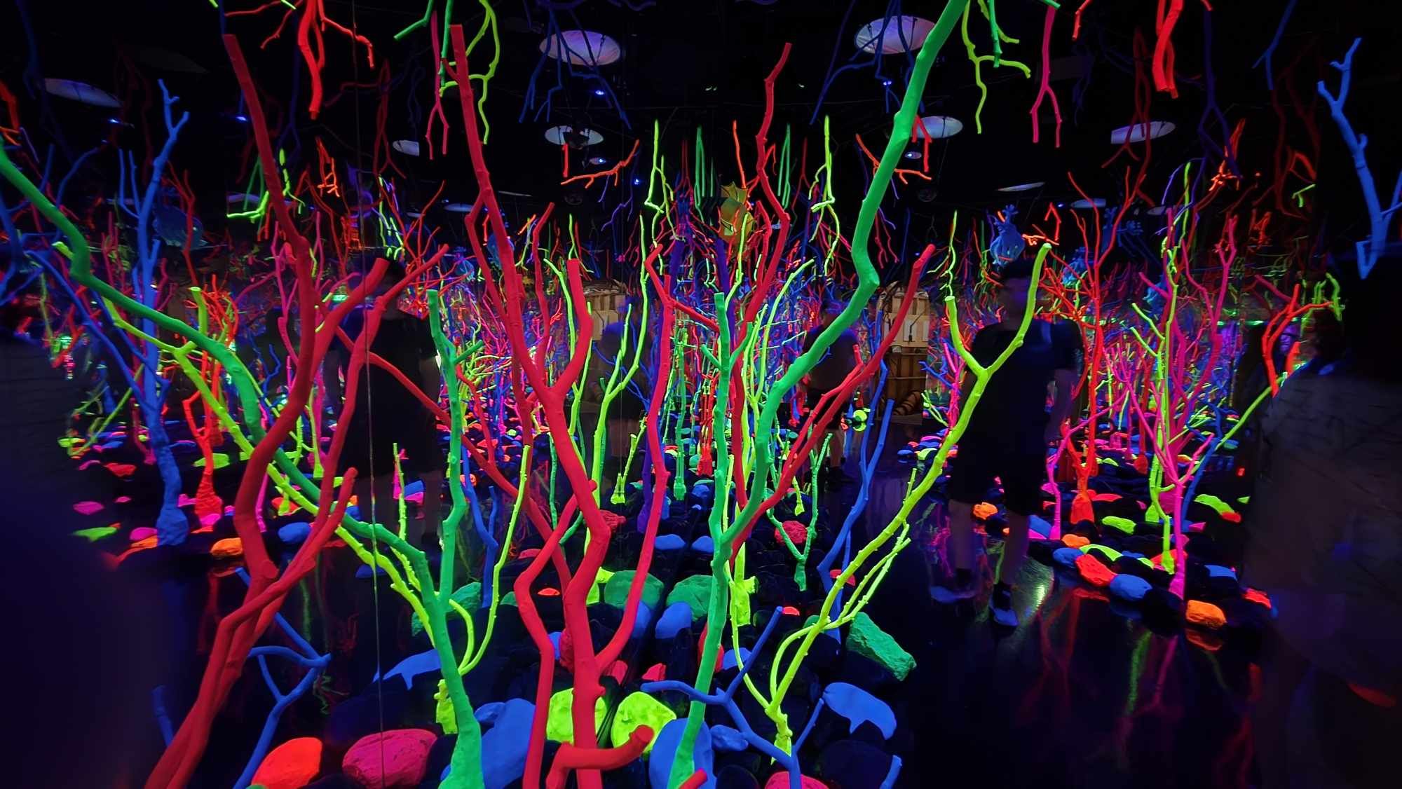 Meow Wolf Grapevine – Ein surreales Abenteuer