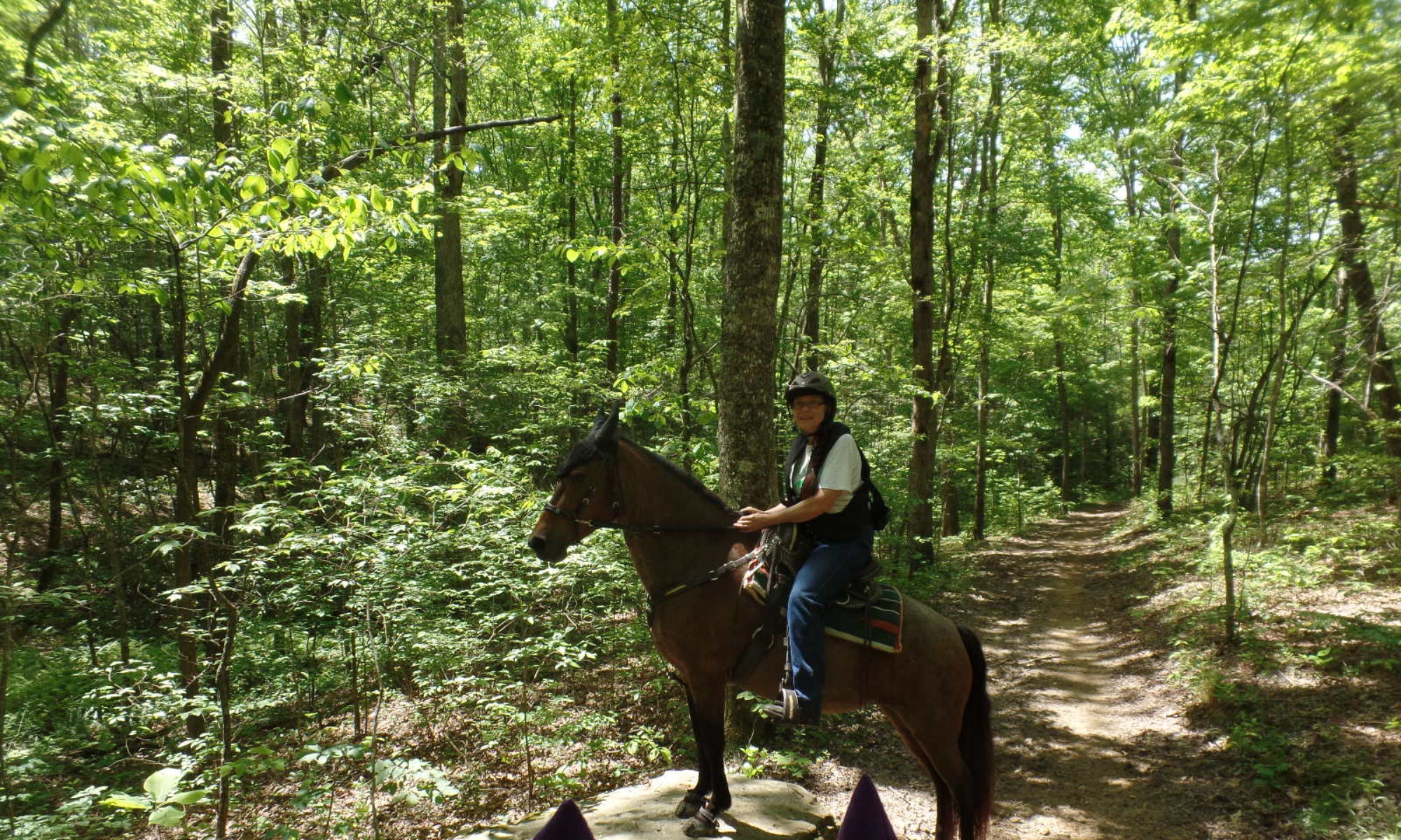 Horseback riding scene on RTTA trails