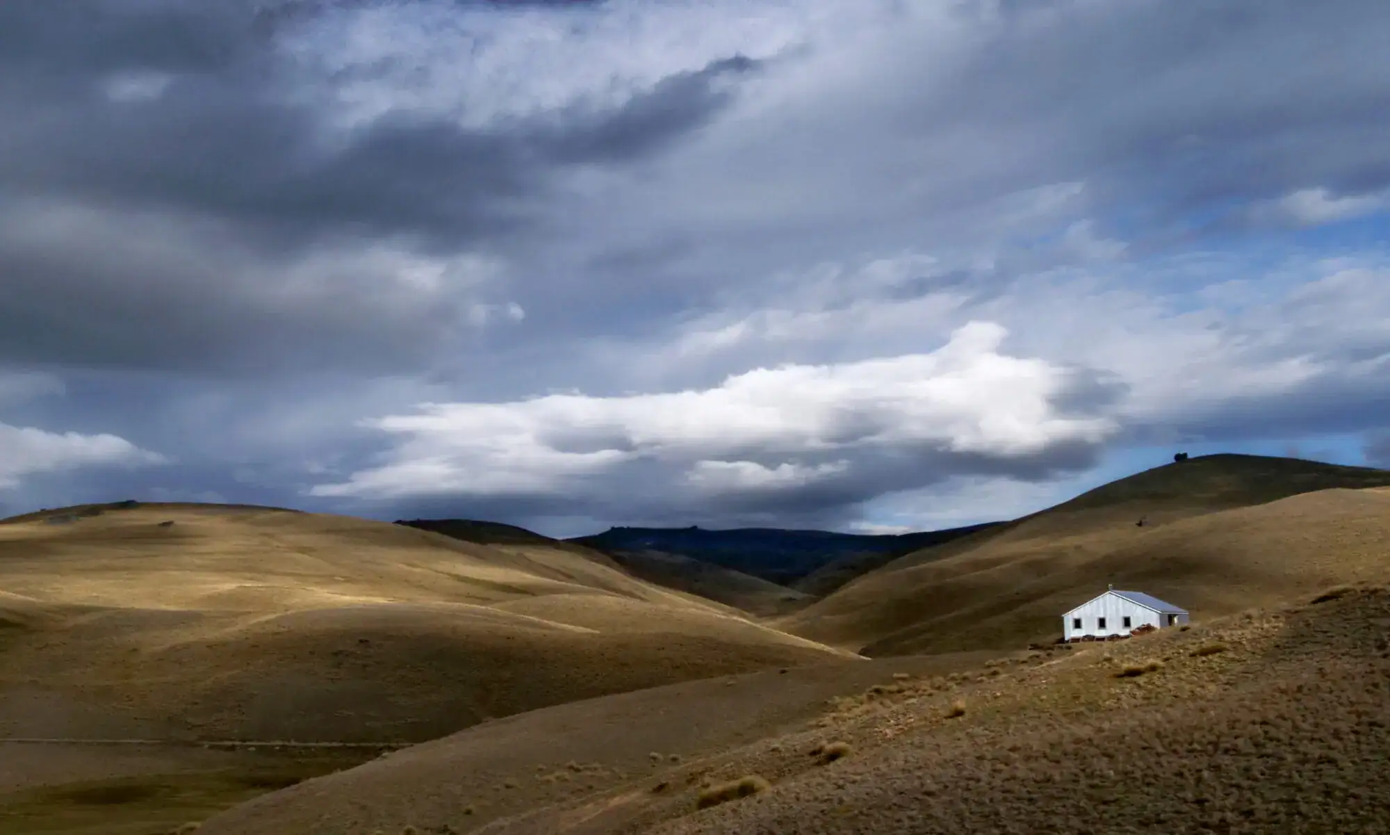 Musterers Hut in the distance amongst snow tussock, Snow Farm NZ