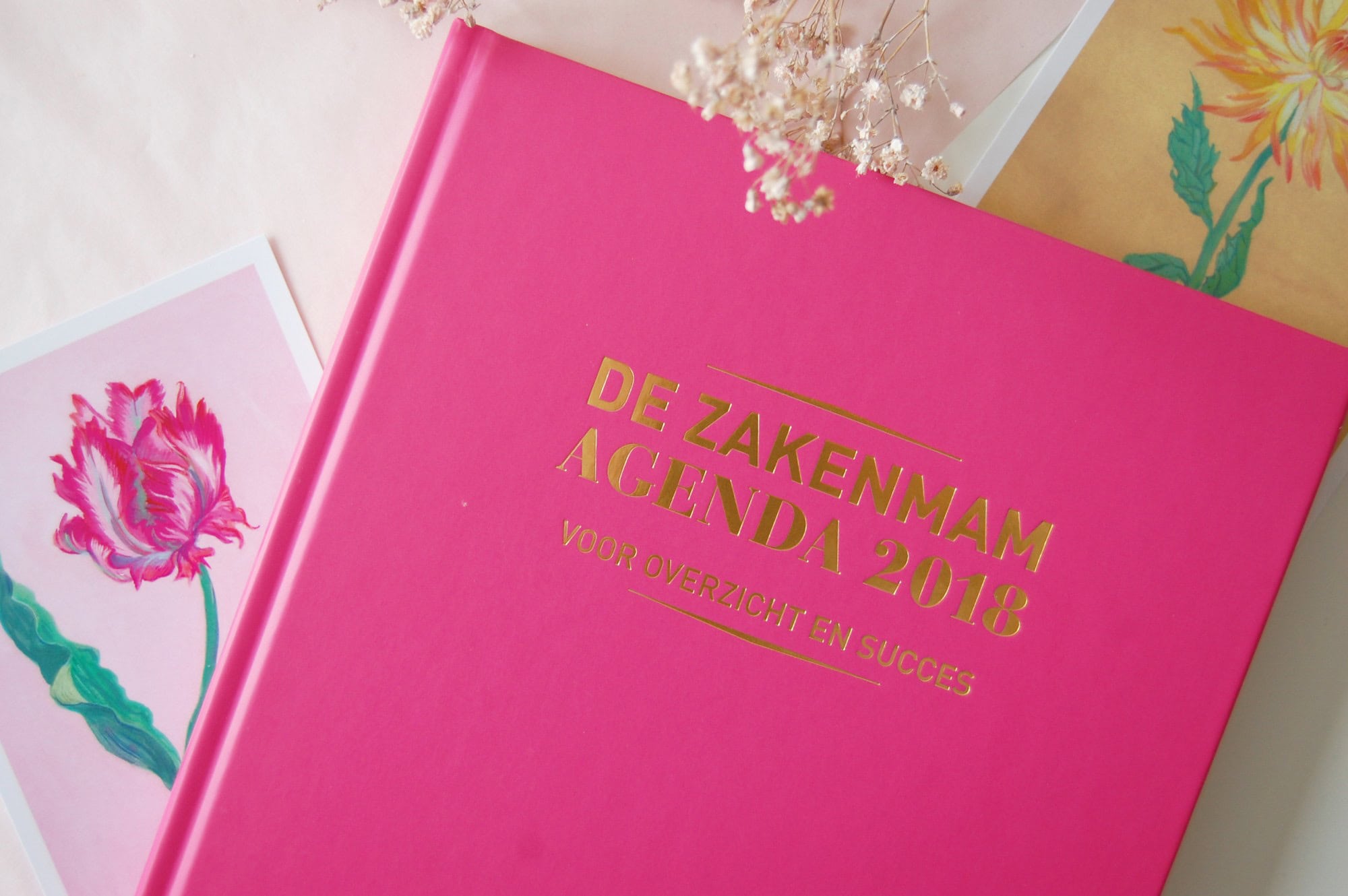 Zakenmam agenda 2018