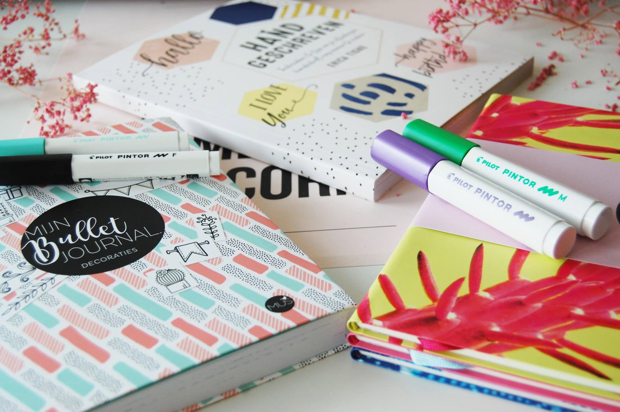 Mijn Bullet Journal