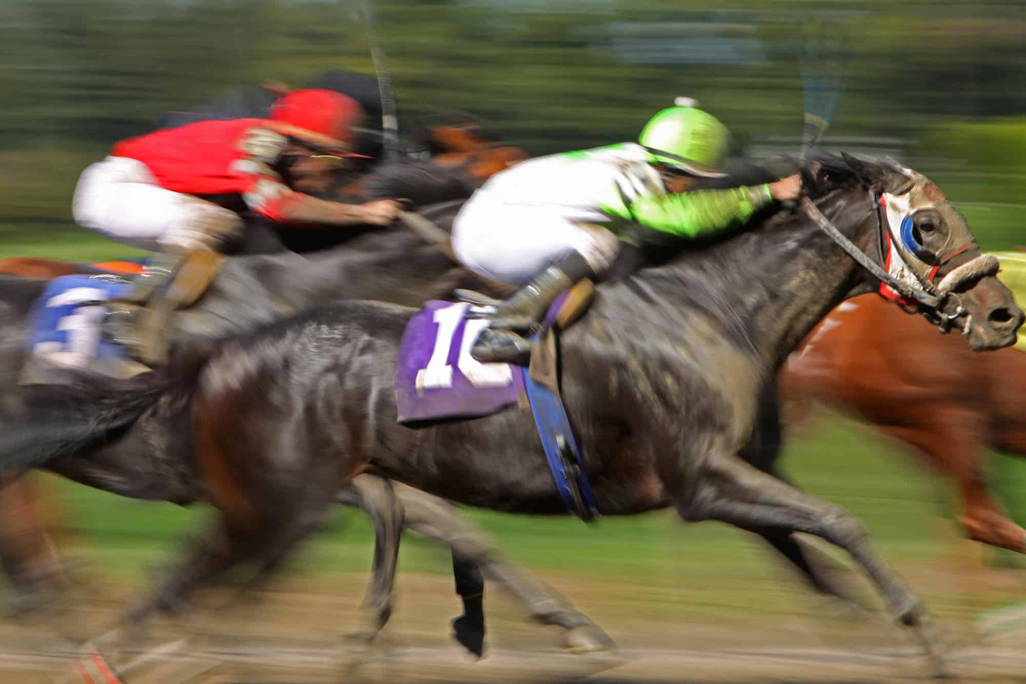 Best Odds Guaranteed on Horse Racing Explained