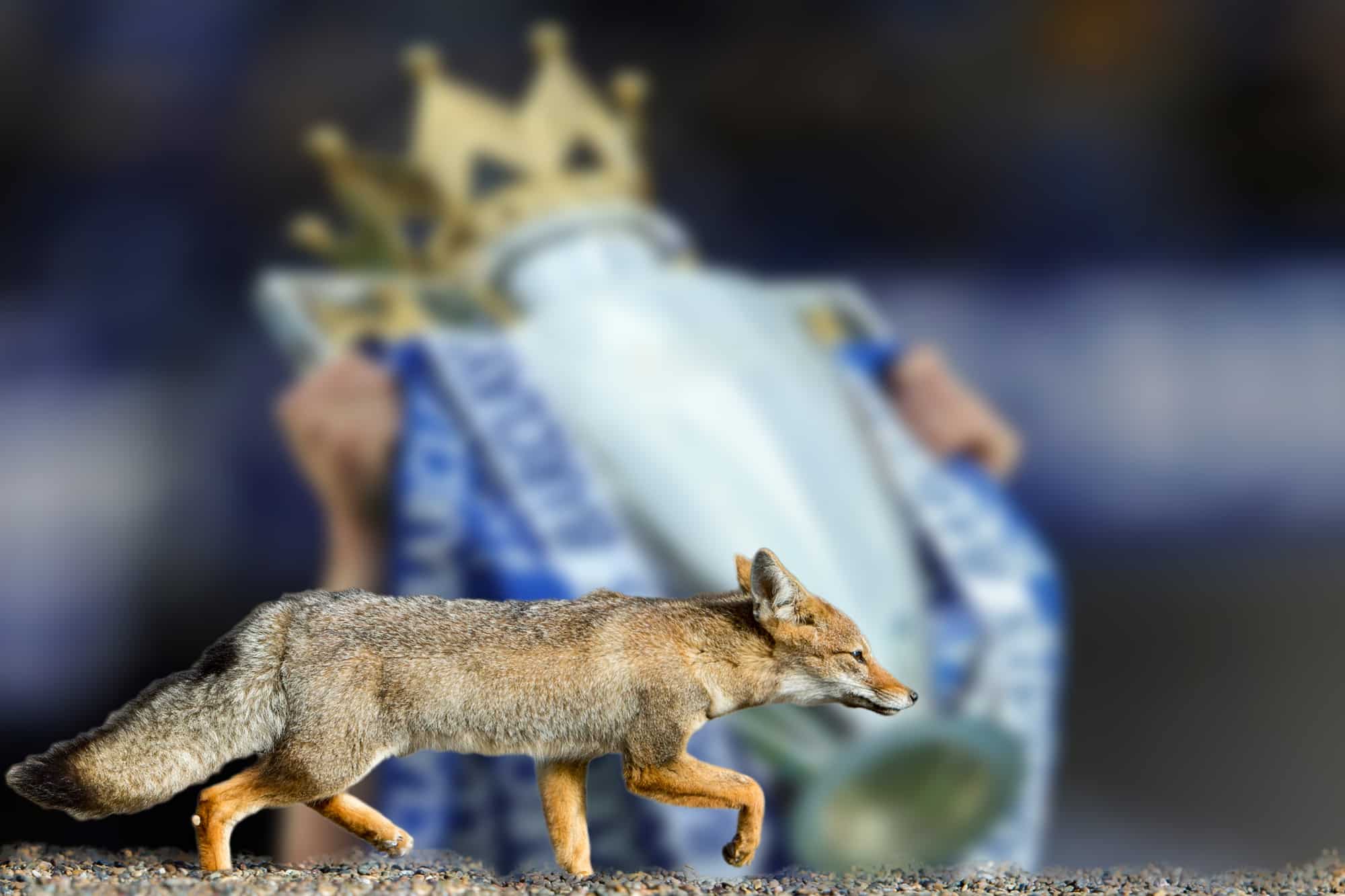 King Power stadium