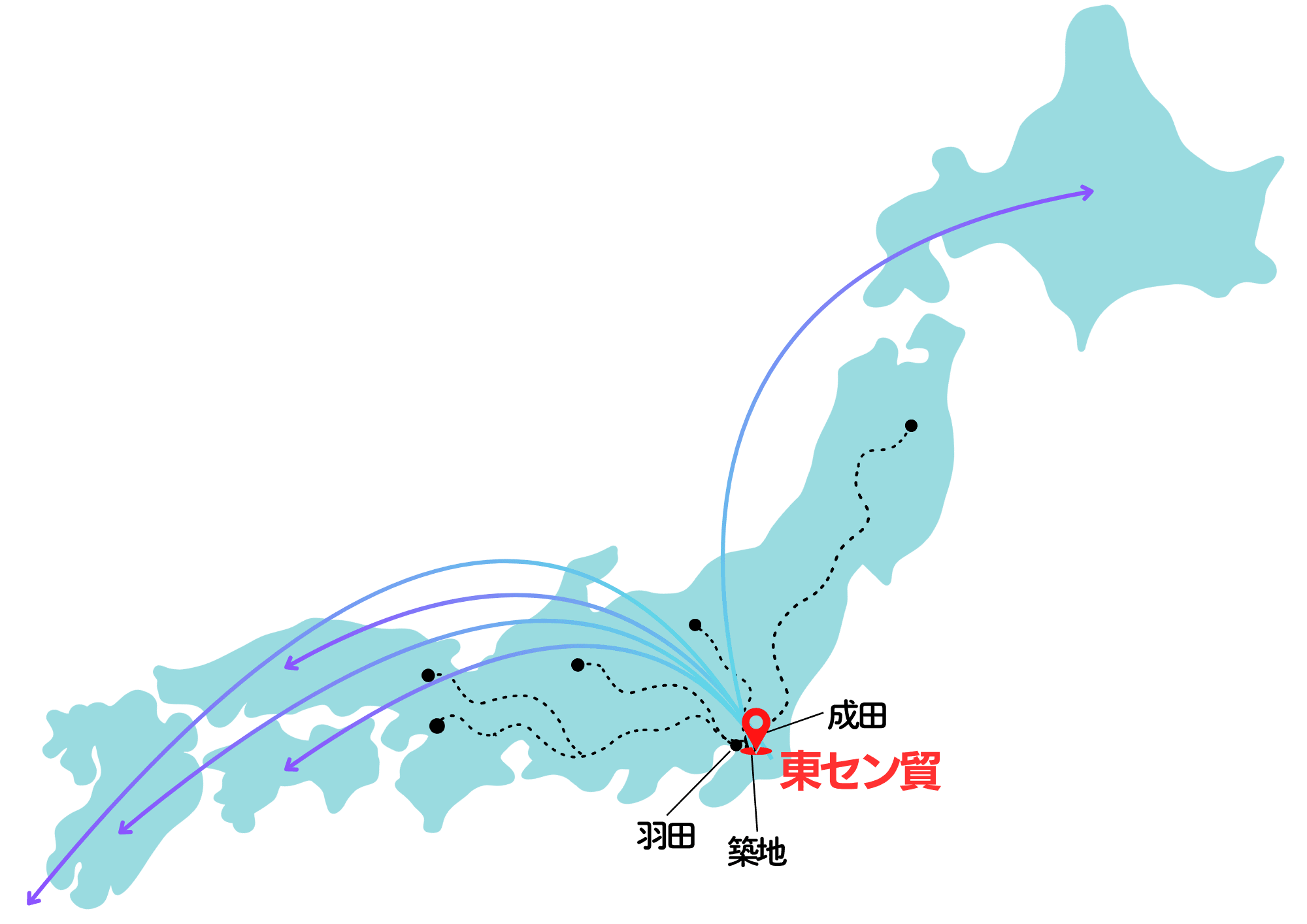 国内販売 国内販売