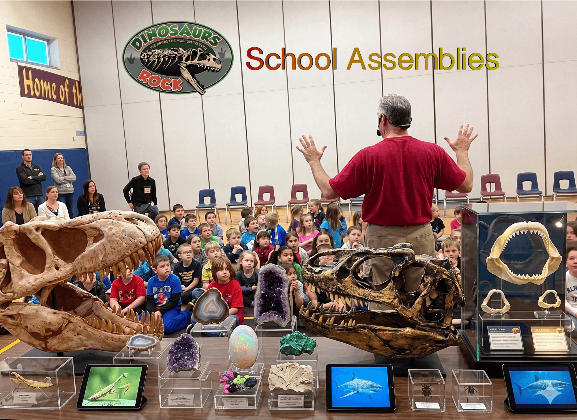 Dinosaurs Rock School Assembly with audience and on the table is a display of dinosaur skull, insects, minerals and shark jaws.