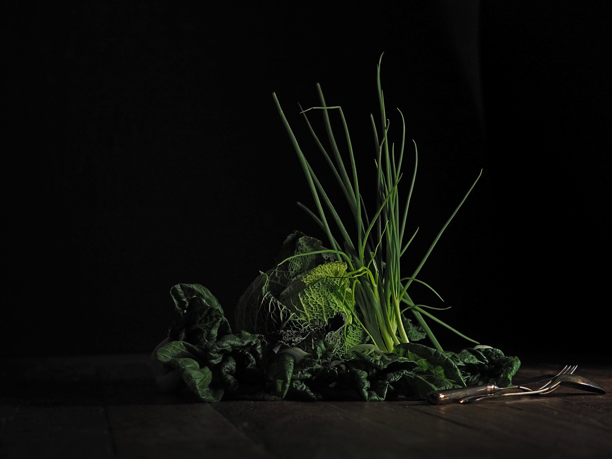 Anett Seidensticker Fotografie