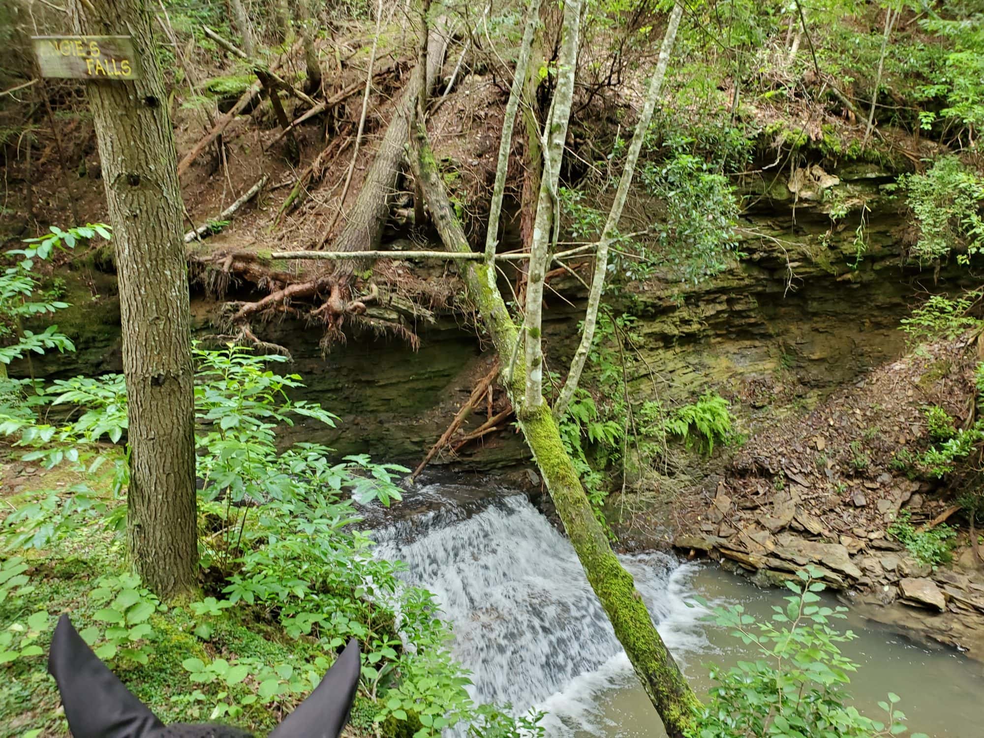 Angie's Falls in the Yellow trail