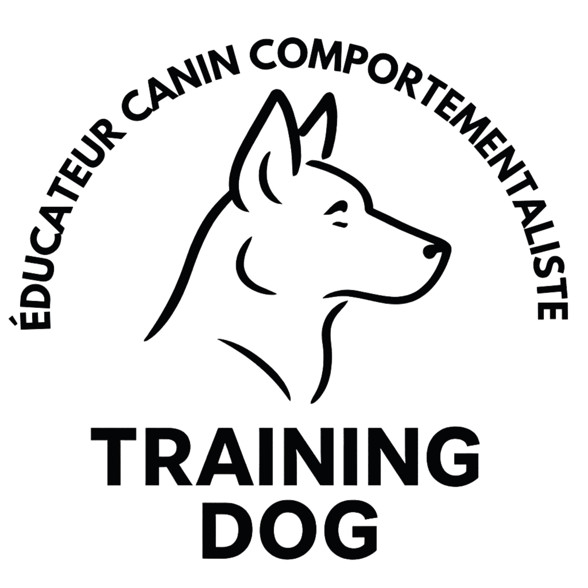 Training Dog éducateur et comportementaliste canin à Aix-en-Provence