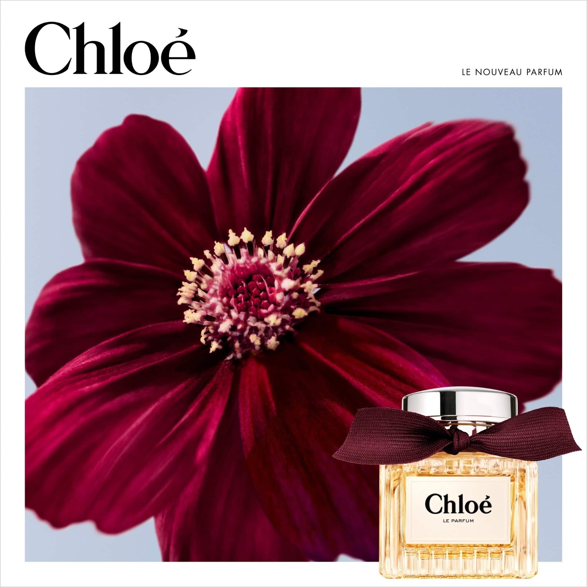 Chloé Le Parfum 2025 Oriental Floral Fragrance for Women