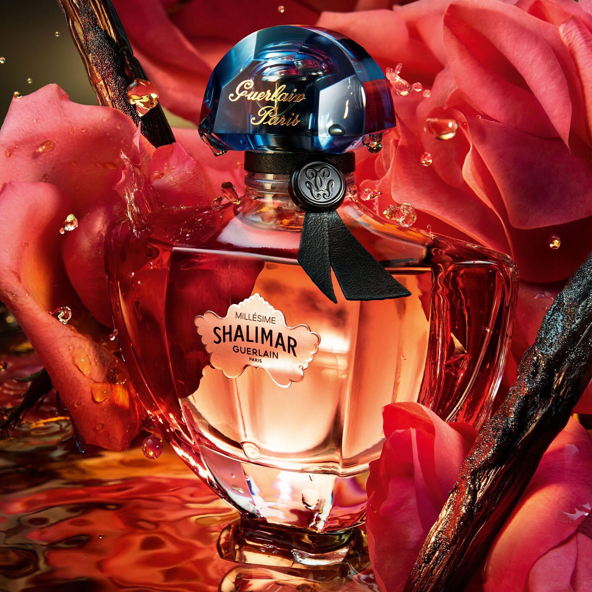 Guerlain Shalimar Millésime Rose Eau de Parfum Rose at the Heart of a Classic Structure
