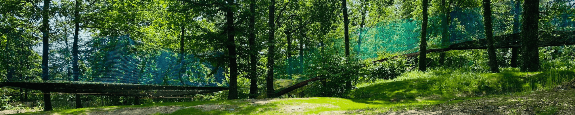 Logo Réouverture des Cimes de Courcy