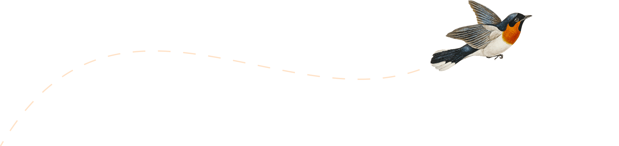 Ilustrace letícího ptáka.