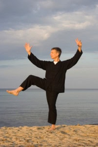 tai chi - posture kick with right heel