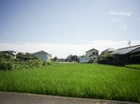 オールドレンズ超広角20mm-21mmおすすめ4本 神オールドレンズ銘玉