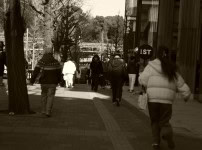 Leica Summarit-M 50mm f2.5 レビュー作例 ライカMマウントおすすめオールドレンズ