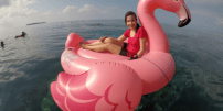 Pos pos Nautika42