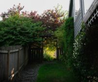 A wooden fence next to a house with a clock, illustrating common backyard renovation mistakes to avoid in Brantford, Ont