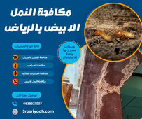 مكافحة النمل الابيض بالرياض 