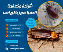 شركة مكافحة الصراصير بالرياض