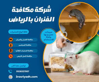 شركة مكافحة الفئران بالرياض
