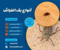 أنواع بق الفراش