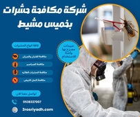 شركة مكافحة حشرات بخميس مشيط