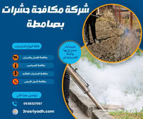 شركة مكافحة حشرات بصامطة