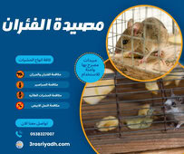 مصيدة الفئران