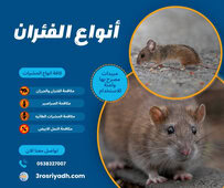 أنواع الفئران