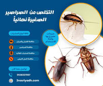 التخلص من الصراصير الصغيرة نهائياً
