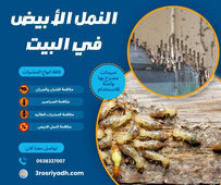 النمل الأبيض في البيت