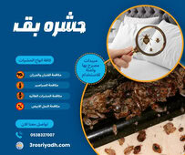 حشره بق