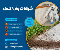 شركات رش النمل