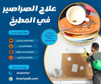 علاج الصراصير في المطبخ