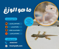 ما هو الوزغ